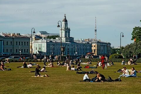 Санкт петербург ситуация