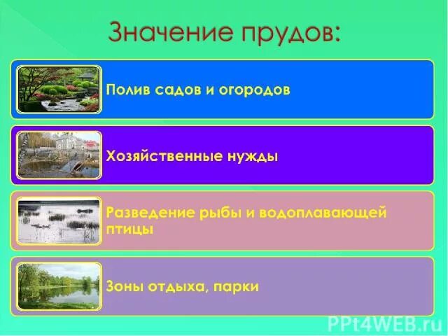 Значение водоема в природе