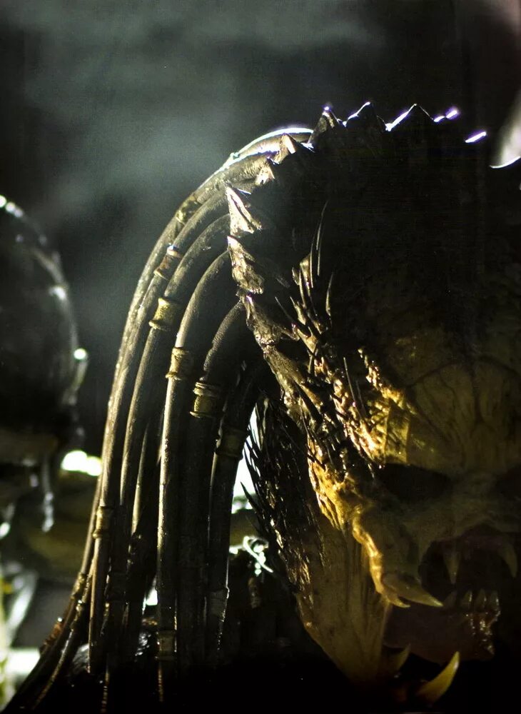 Aliens vs predator requiem. Чужой против хищника Реквием. Чужие против хищника Реквием 2007. Чужой против хищника Реквием хищник.