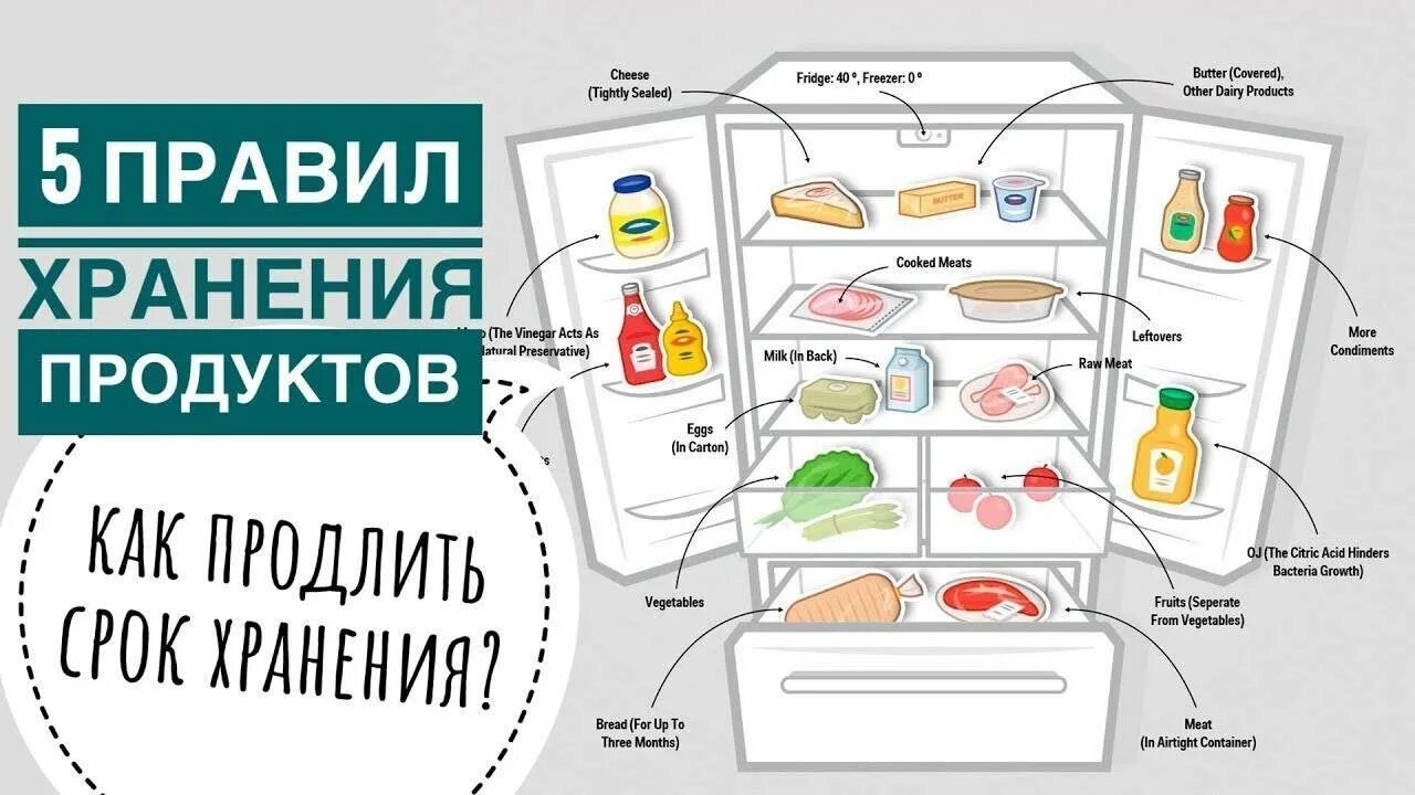 Правильное хранение в холодильнике. Продукты хранящиеся в холодильнике. Хранение продуктов в холодильнике. Размещение продуктов в холодильнике.