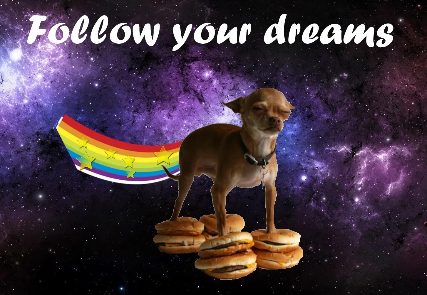 You need to follow your. Follow your dreams. обои follow your dream. follow your dreams собака. follow your dreams wallpaper.