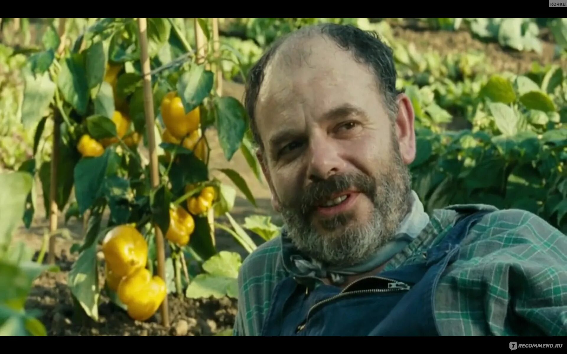 Даниэль отой. Диалог с моим садовником. Чаба бальер лайош. Диалог с моим садовником (2007) (dialogue avec mon jardinier). Диалог с моим садовником.