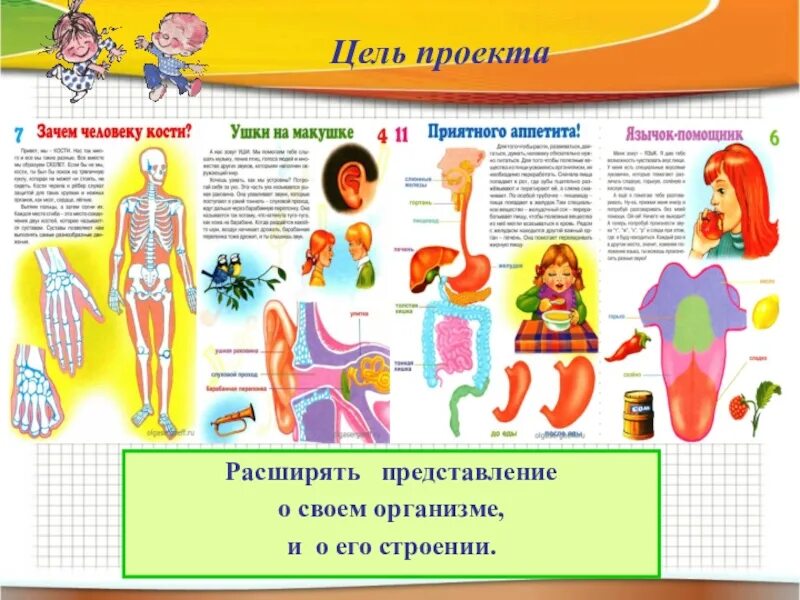 Проект по теме организм человека 1 класс Памятка "Внутреннее и внешнее строение человека"