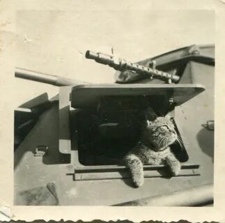 Мыши в танке