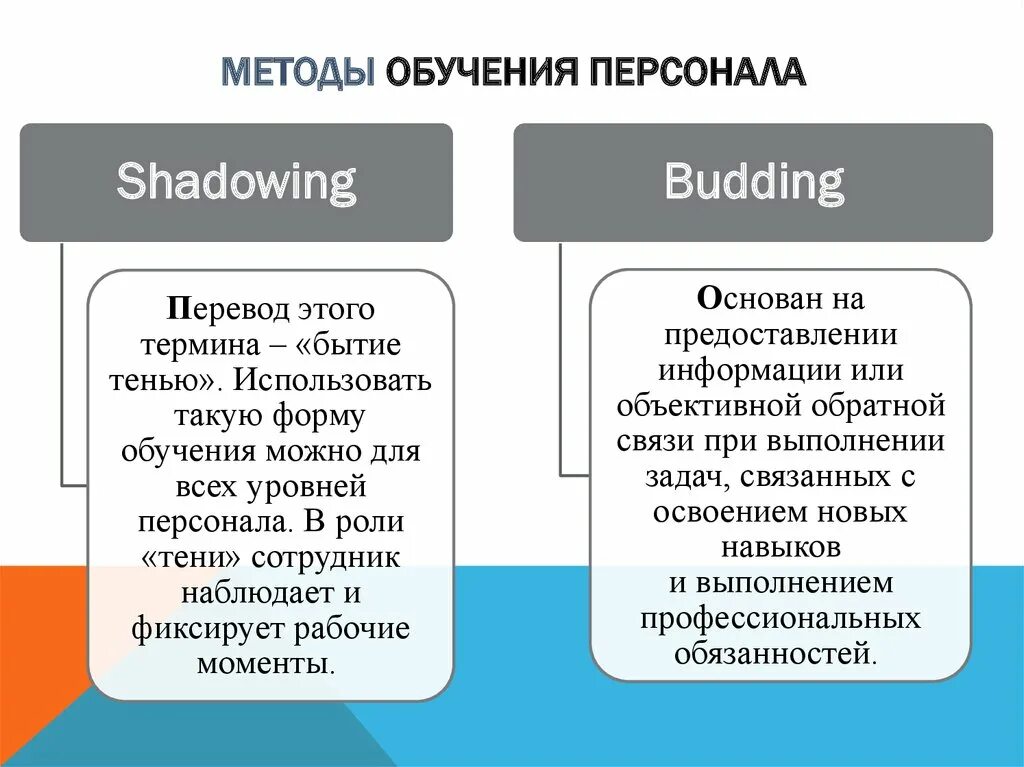 Формы обучения персонала. Виды обучения персонала. Виды формы и методы обучения персонала. Методы обучения персонала.