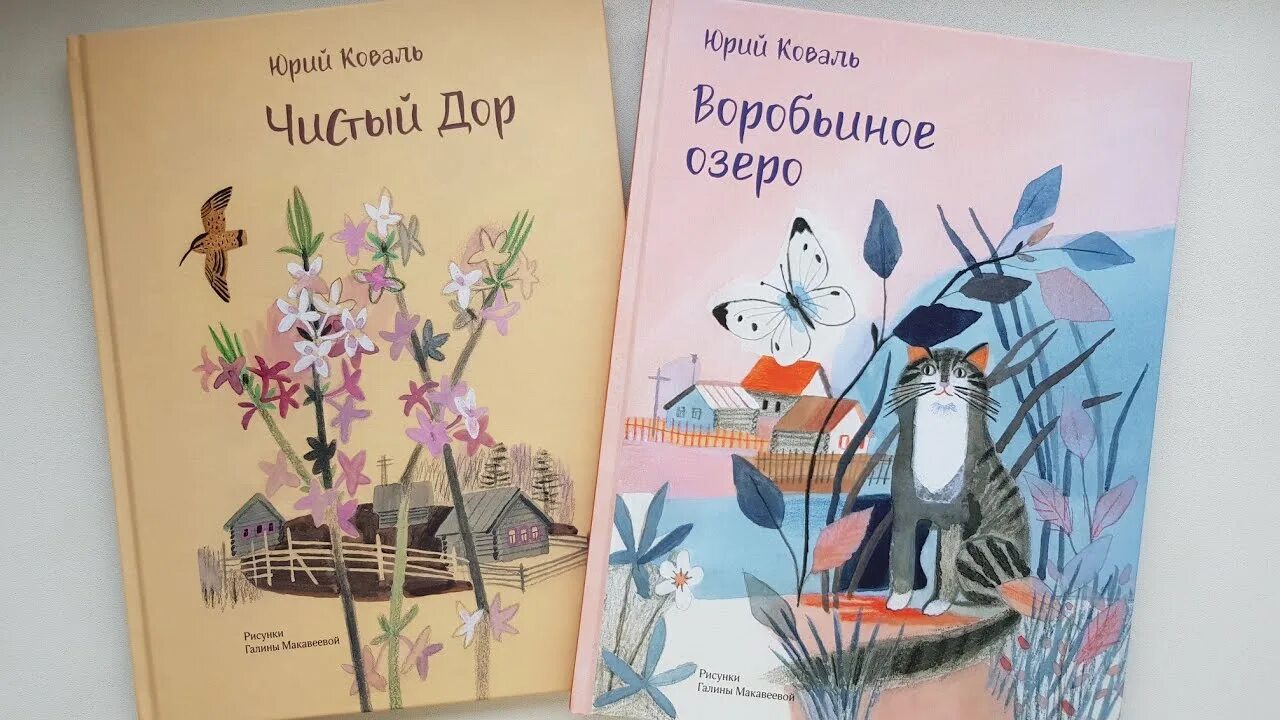 Книга чистый дор Коваль.