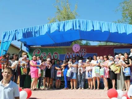 Пава районе
