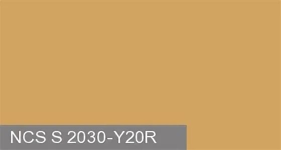 Ncs s 2030