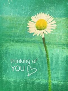 Dreaming of you thinking of you