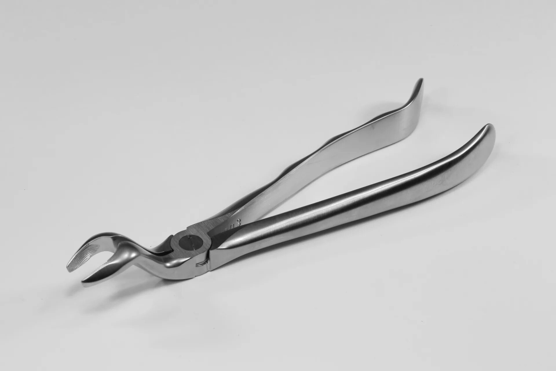 пружинящие щипчики 6 букв сканворд