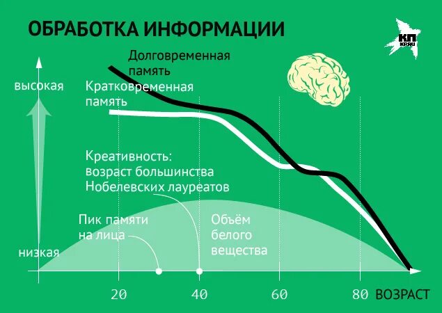 Пик половой активности у женщин. Возраст половой активности. Пик полового влечения. Половая активность в течение суток.