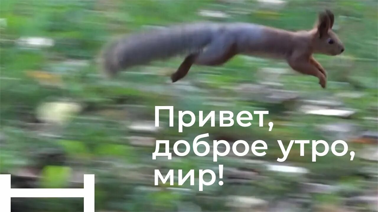 Песни вставай доброе утро. Доброе утро, мир. Привет мир утро. Привет доброе утро мир я. Привет с добрым утром мир.
