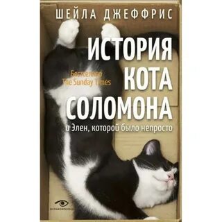 История кота книга
