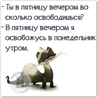 Пятница статусы прикольные
