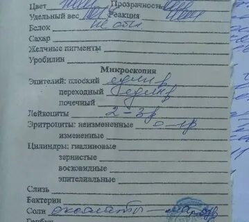 Нечипоренко узи