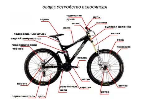 Как правильно пишется велосипед