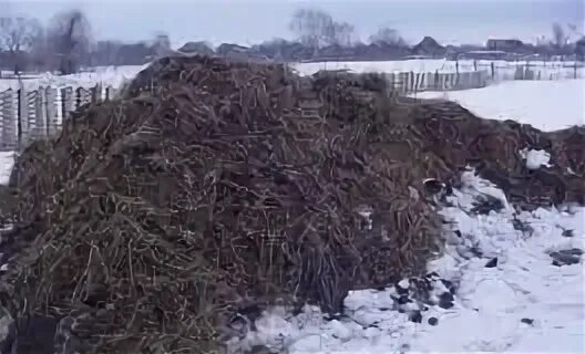 Курнул но не навоз слушать