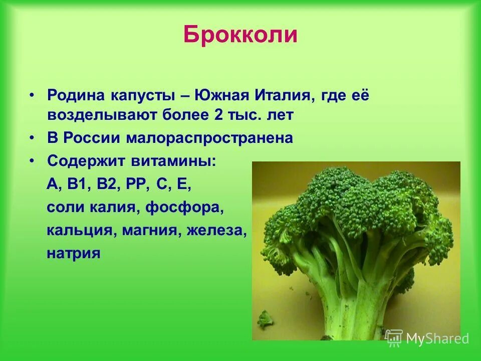 Капуста брокколи витамины. Витамины в брокколи и цветной капусте. Строение капусты брокколи. Строение цветной капусты.