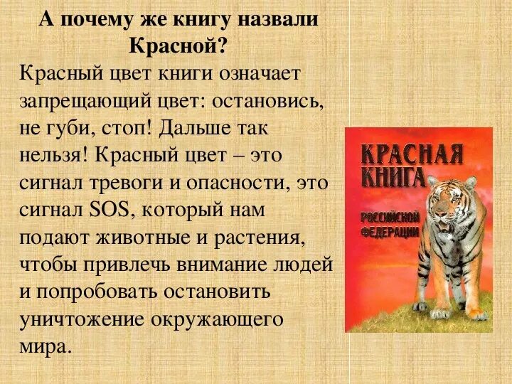 Образцы красной книги. Проект по окружающему миру 4 класс на тему красная книга России. Сообщение красная книга России 4 класс окружающий мир. Проект по окружающему миру 4 класс Международная красная книга. План проекта красная книга России 4 класс окружающий мир.