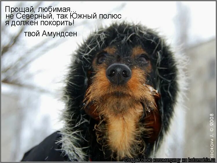 Ежик правда любишь. Ежик правда любишь