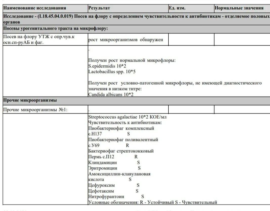 Streptococcus в мазке у мужчин. Результат анализа на стрептококк норма. Streptococcus agalactiae норма при беременности. ДНК стрептококк в мазке при беременности. Анализ на стрептококк расшифровка.