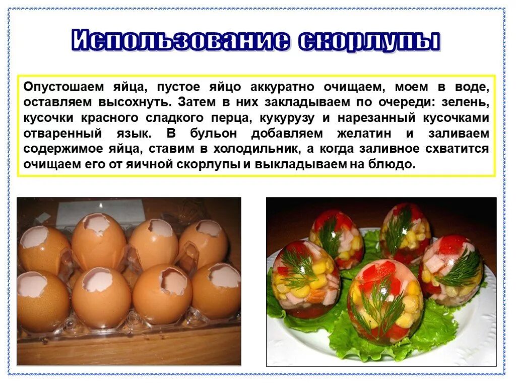 Что содержится в скорлупе