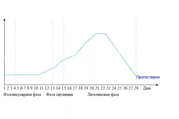 Пик активности женщины. Прогестерон день цикла. Прогестерон на какой день цикла сдавать. Прогестерон сдается на какой день цикла. Пик прогестерона в цикле.