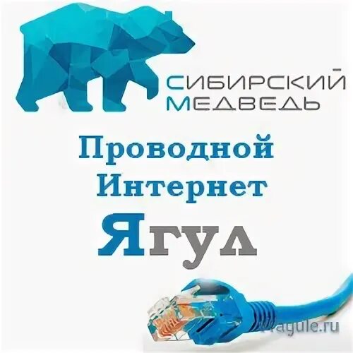 Сиб медведь. Сибирский медведь интернет. Интернет-провайдер Сибирский медведь. Интернет и ТВ | Сибирский медведь. Роутер Сибирский медведь.