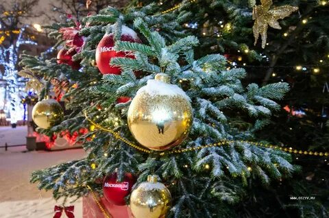 Н г 2016