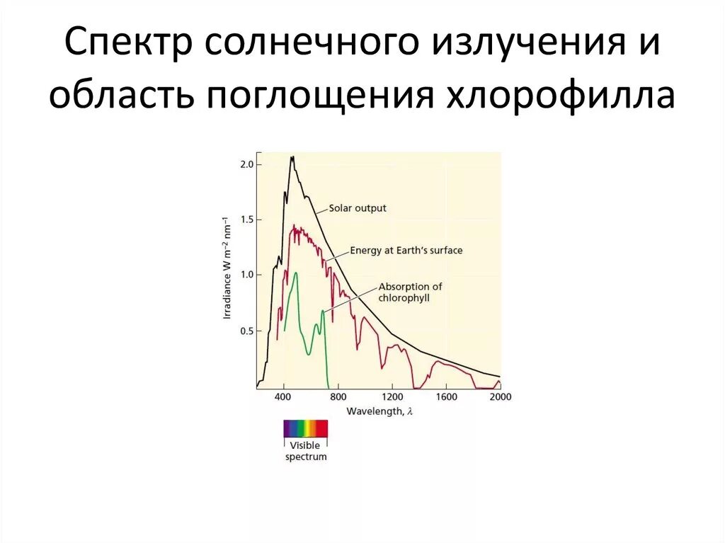 Солнечный спектр излучения график. График спектра солнечного излучения. Спектр солнечного излучения для фотосинтеза. Спектры солнечной радиации.