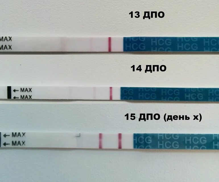 Может ли показывать. За три дня до задержки тест покажет беременность. Тесты на беременность до за. Тэст на беременность до задержки. Беременные тесты до задержки.