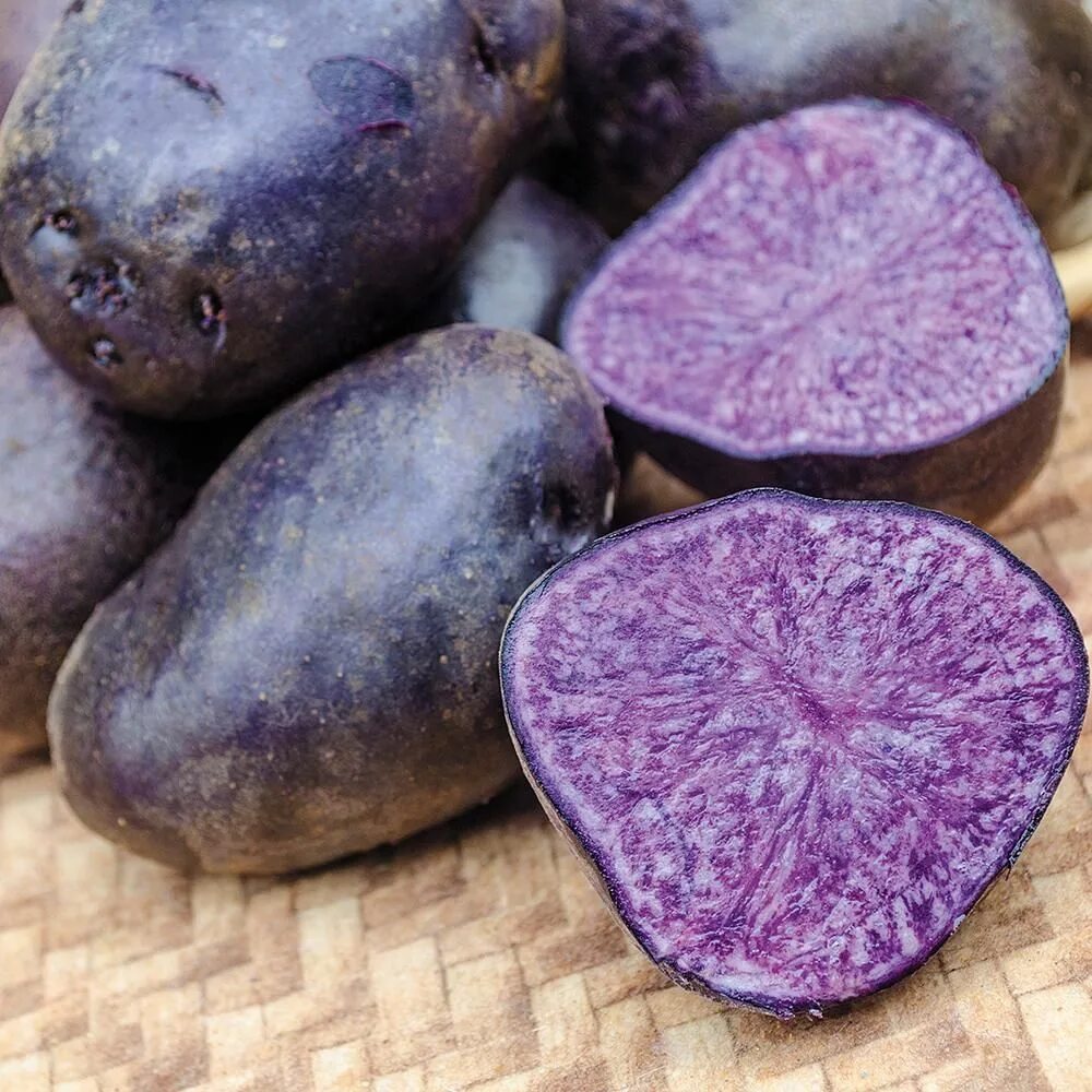 Купить семена владивосток. Сорт картофеля перуанский фиолетовый (Purple Peruvian). Картофель СЕДЕК семенной фиолетовый. Вителот фиолетовый картофель. Пурпл Маджести картофель.