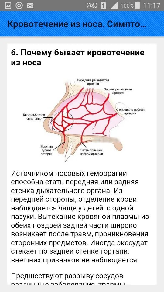 Сморкаюсь с кровью почему. Почему идёт кровь из носа. Почему из носа идет кровь причины. Из за идет кровь из носа.