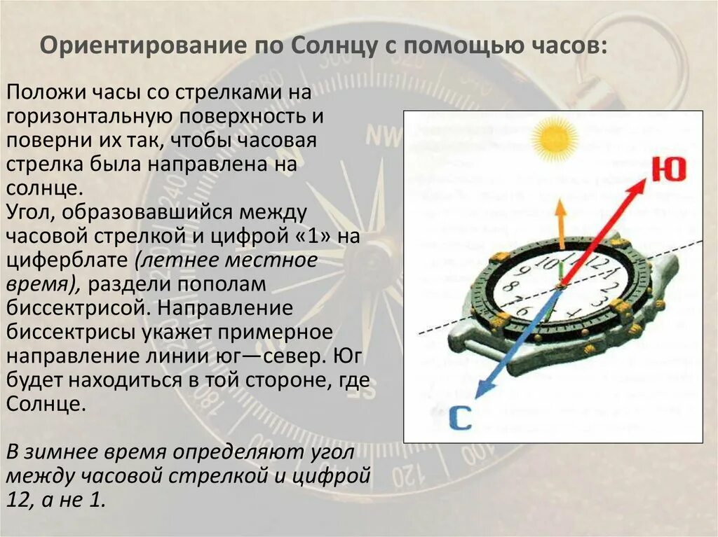 Последовательность действий с компасом. Ориентирование на местности презентация. Ориентирование по солнцу с помощью часов. Стороны горизонта ориентирование. Ориентация по часам и солнцу.