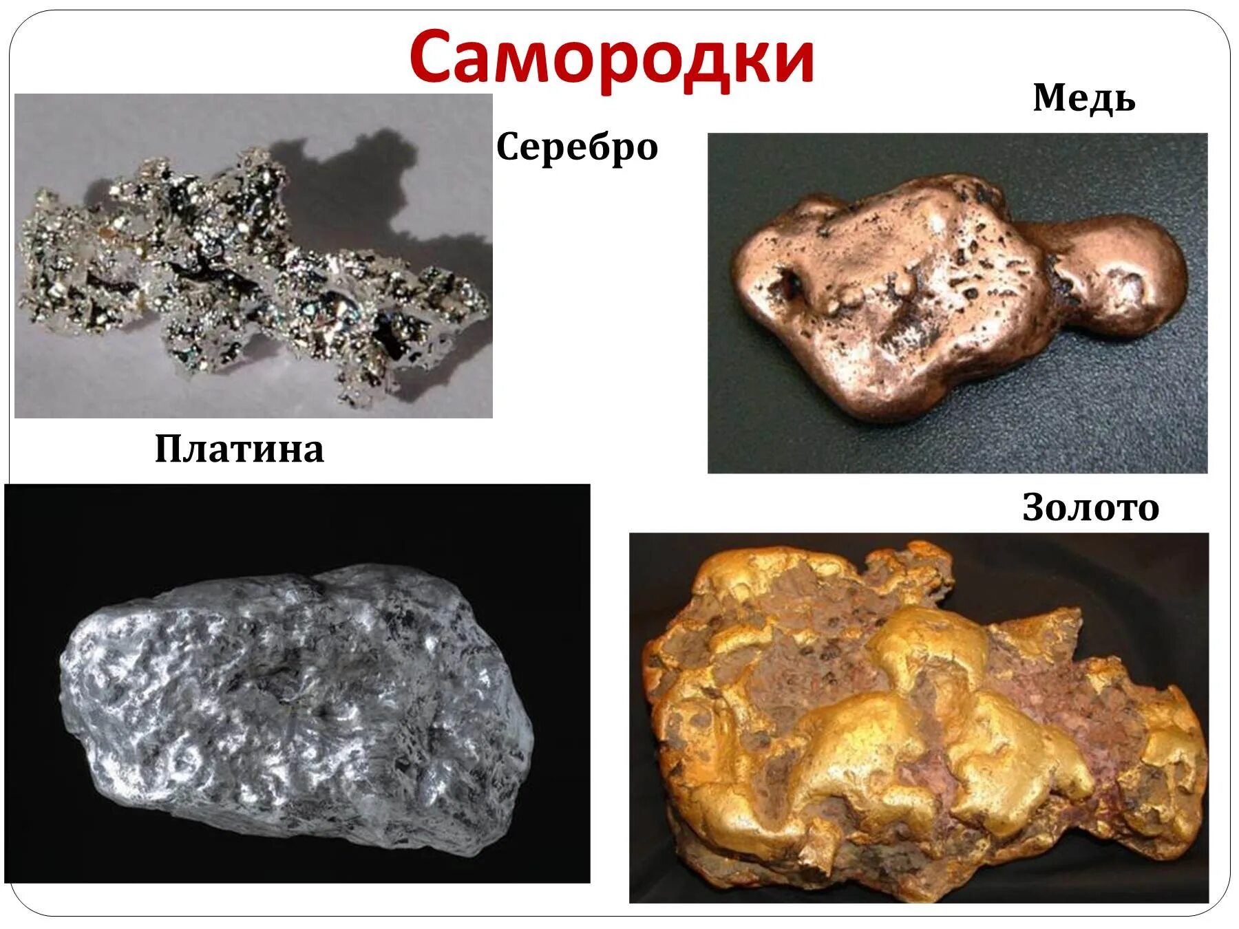 Золото, медь, алюминий, серебро, железо. Золото и серебро самородки. Золото серебро медь. Медь серебро золото платина. Медь лучше золота