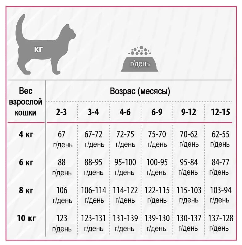 Можно кормить котят сухим кормом. Таблица нормы корма для котят. Нормы кормления кошек сухим кормом таблица. Норма сухого корма для кота 4 кг. Норма сухого корма для кота 5 кг.