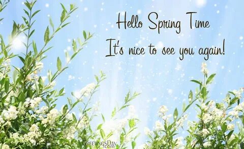 Spring begins