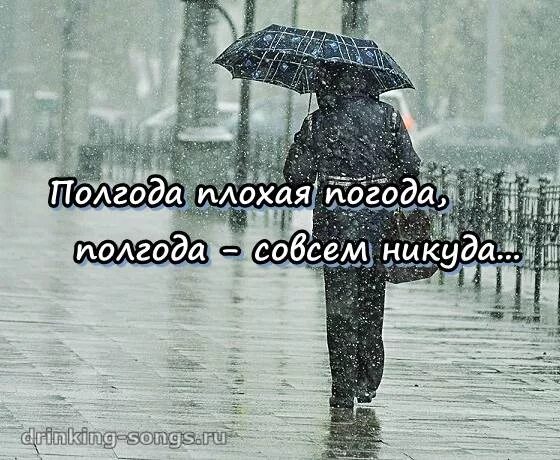 Кто поет песню погода плохая погода. Полгода плохая погода. Рол года плохая погода. Непогода нынче в моде. Плохая погода слова.