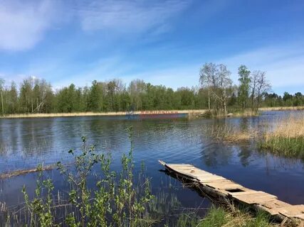 Погода в удальцово ленинградской