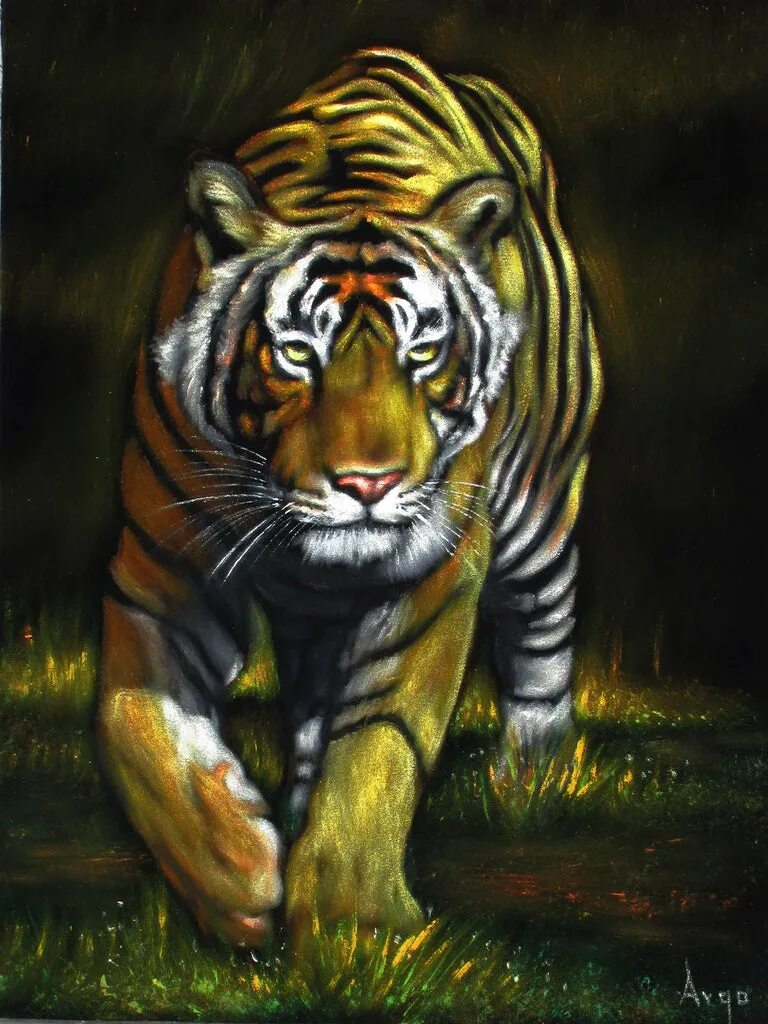 Масло тайгер. Живопись тигра. Тигр маслом. Тигр живопись масло. Тигр картина маслом.