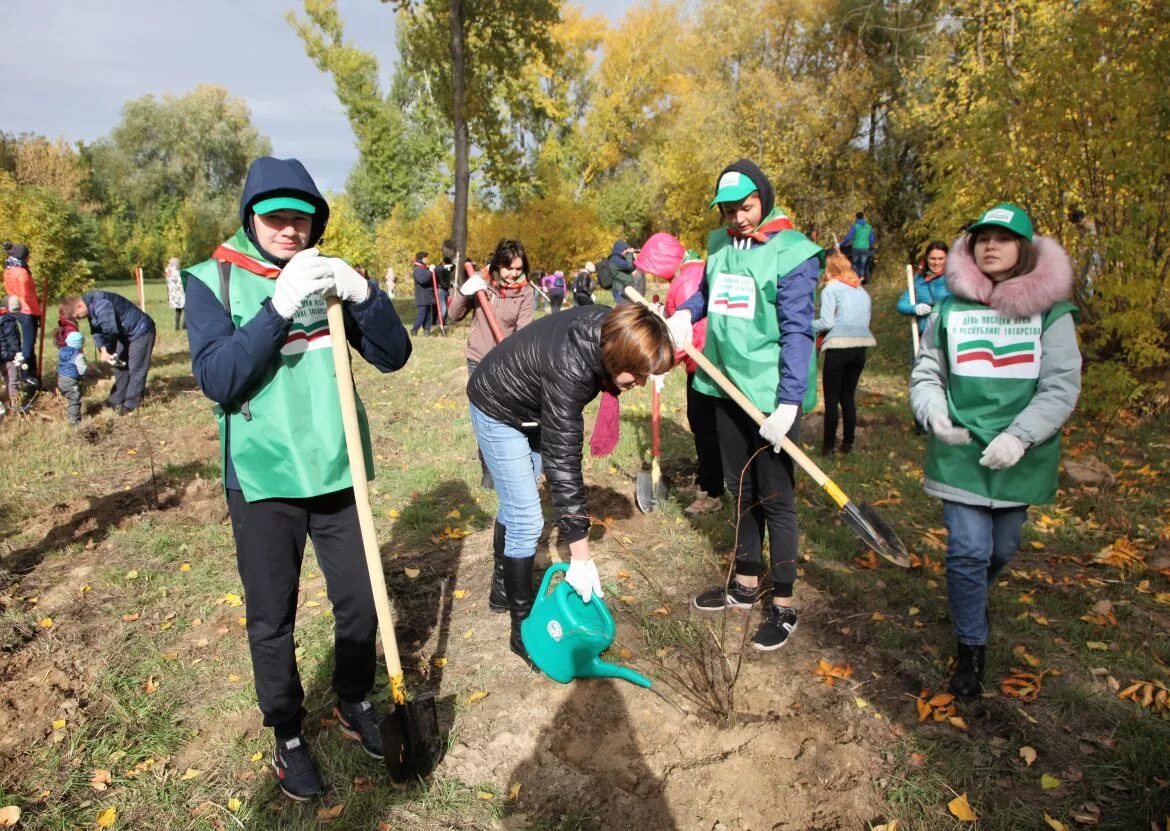 Посади дерево область