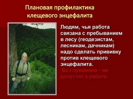 Плановая профилактическая