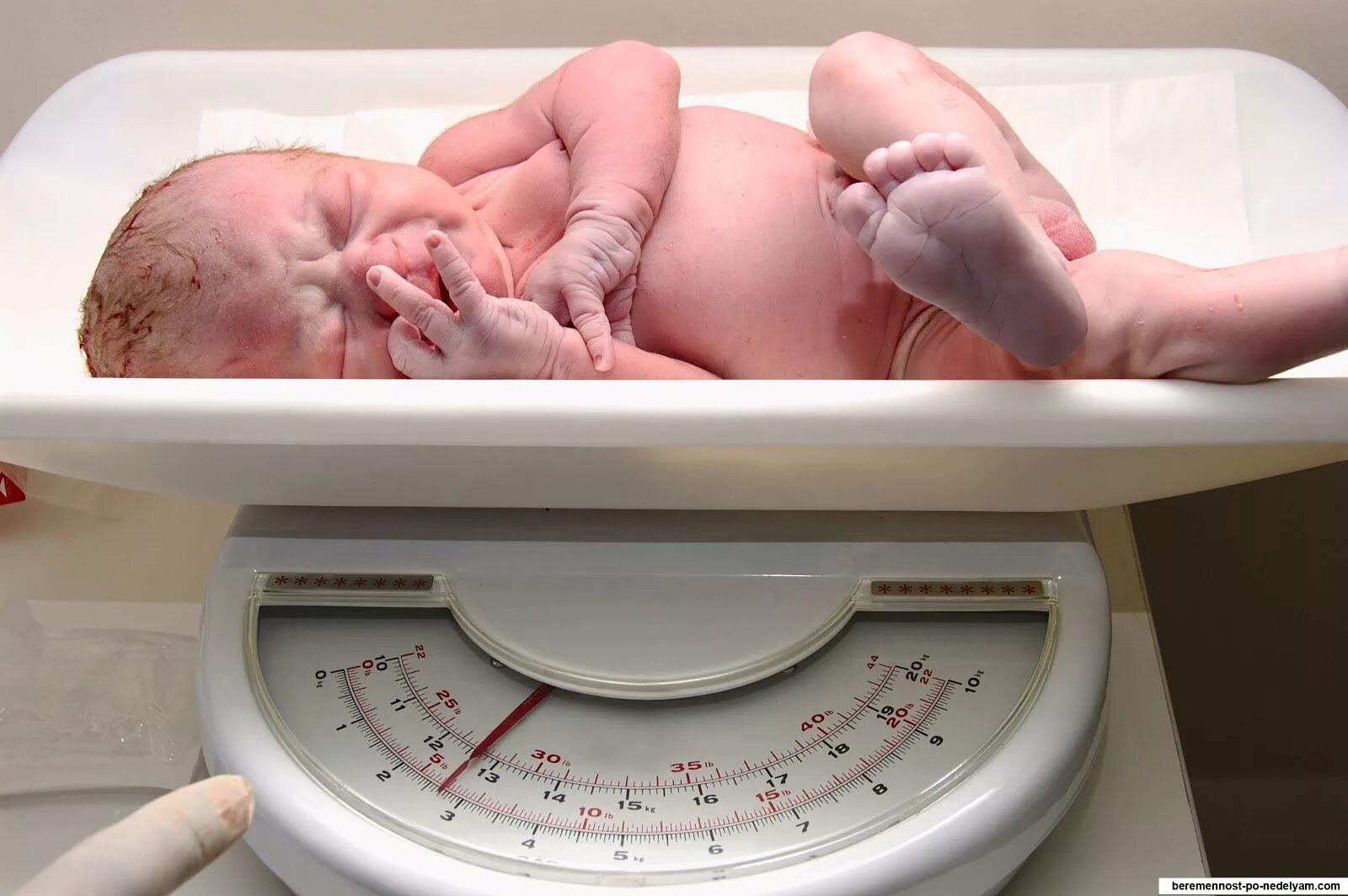 Рожающее тело. Вес новорожденного ребенка. Новорожденные с маленьким весом. Взвешивание недоношенного.