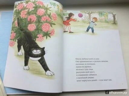 Мяули истории из жизни