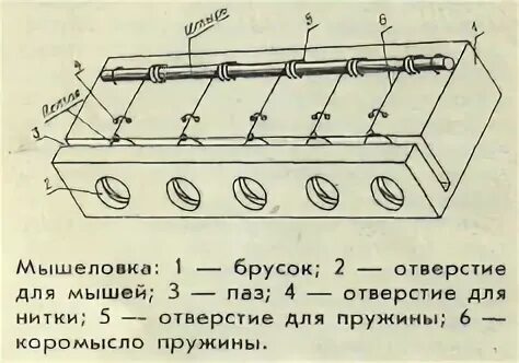 Из мышеловки слова. Чертежи деревянной мышеловки. Мышеловка из доски с 5 дырками. Мышеловка чертеж. Чертеж мышеловки своими руками.