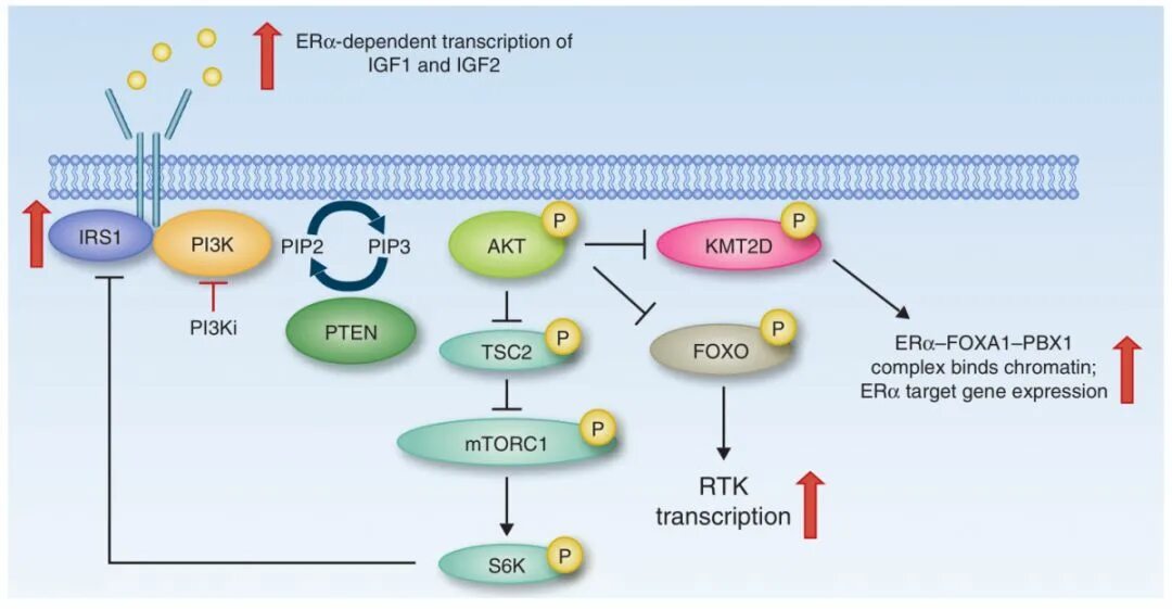 Удивительные математические факты. Пи ту пи арбитраж. Необычные факты математики. Pi3k путь. Пи ту пи арбитраж.