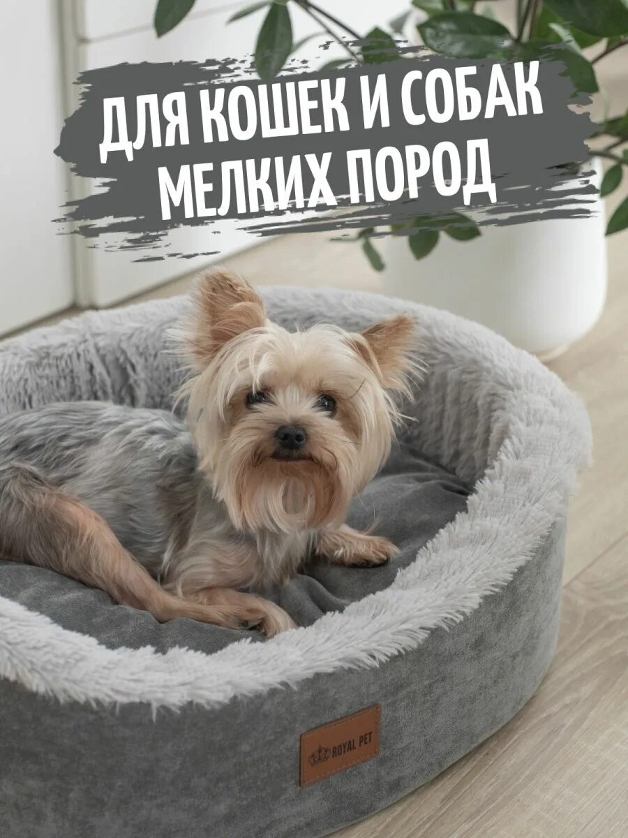 Royal pet. Royal Pet лежанка. Лежанка Pet Star. Lionpets лежанка для собак. Лапусик Калуга зоосалон Кибальчича.