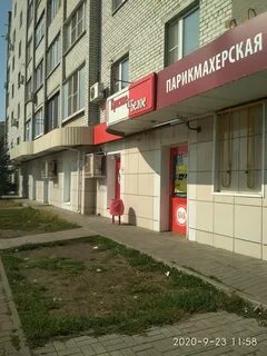 Белых губкин