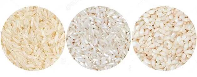 Различие риса. Рис длиннозерный и круглозерный отличия. Среднезерный рис. Круглозёрный, длиннозёрный и среднезёрный рис. Рис круглый и длиннозерный отличие.