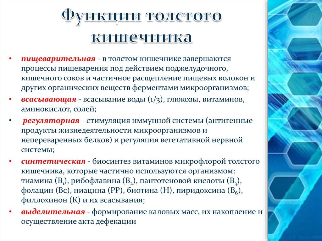 Функции Толстого кишечника в организме человека кратко и понятно. Основная функция толстой кишки. Толстая кишка функции. Функции тоствогокишечника.